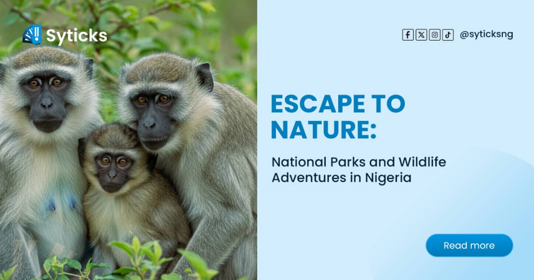 Escape to Nature: National Parks and Wildlife Adventures in Nigeria