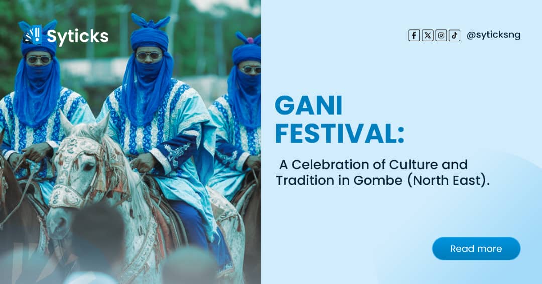 Gani Festival: A Celebration of Culture and Tradition in Gombe (North East)