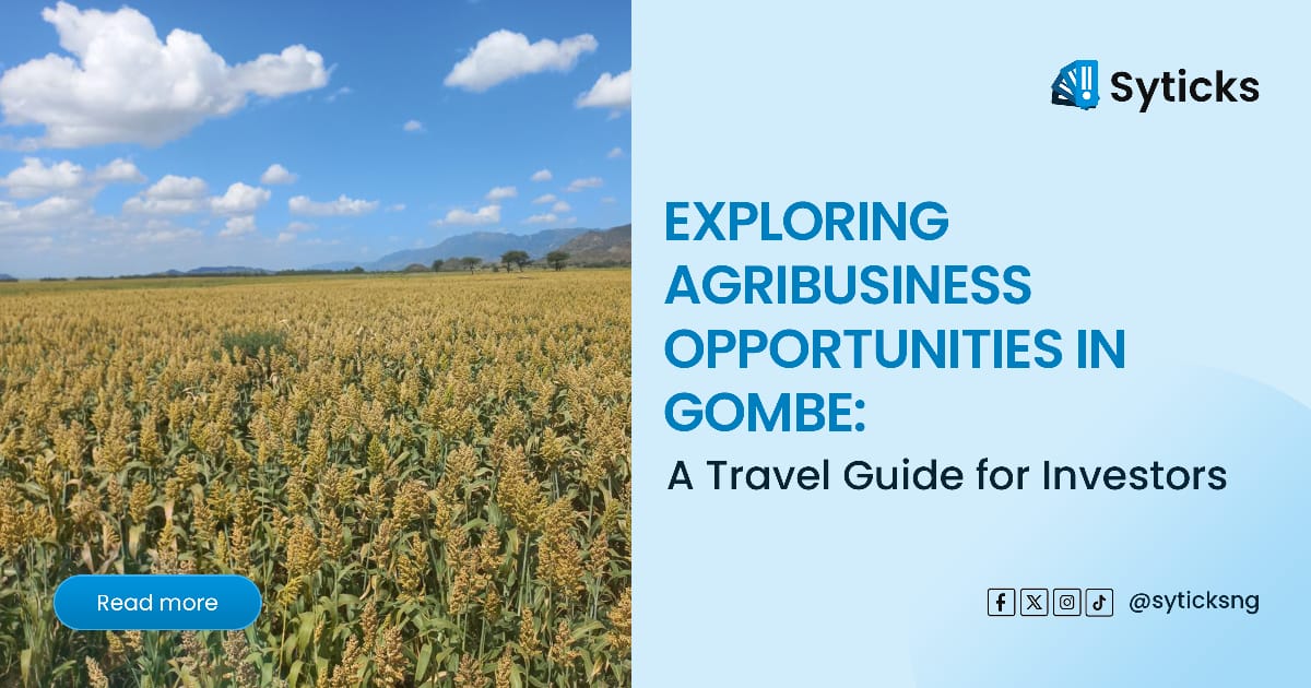 Exploring Agribusiness Opportunities in Gombe: A Travel Guide for Investors